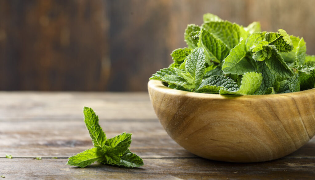 fresh mint on a table in a wooden bowl