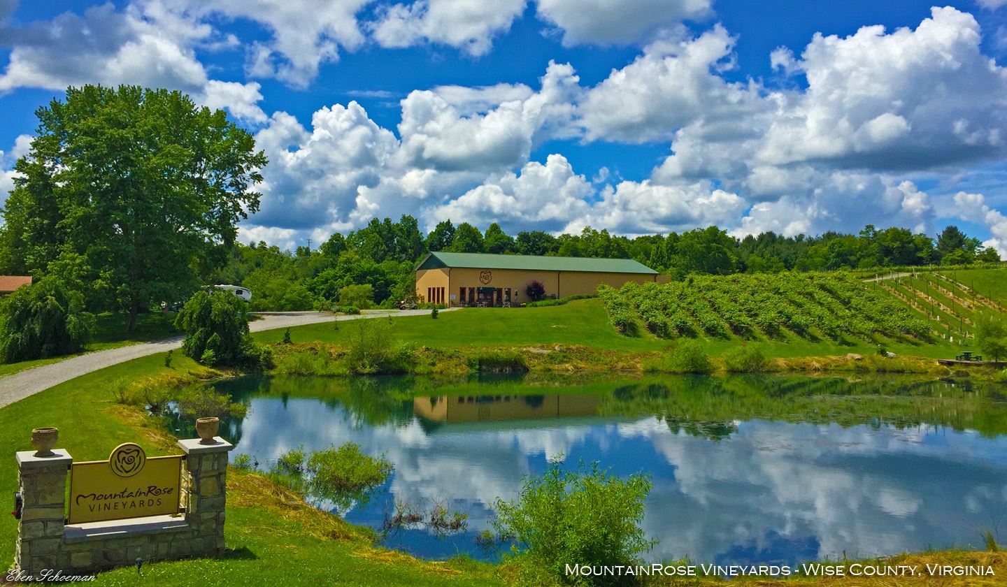 Vinyard view new 1440