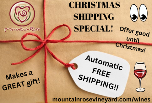 Christmas Free Shipping