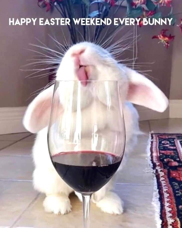 FB_IMG_1711760439155